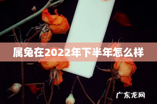 属兔在2022年下半年怎么样