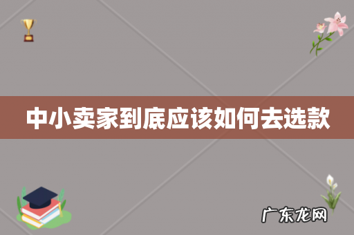 中小卖家到底应该如何去选款