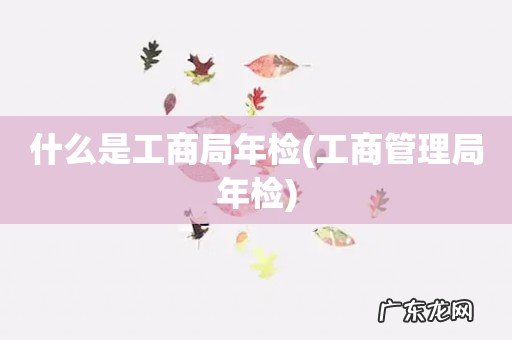 工商管理局年检 什么是工商局年检