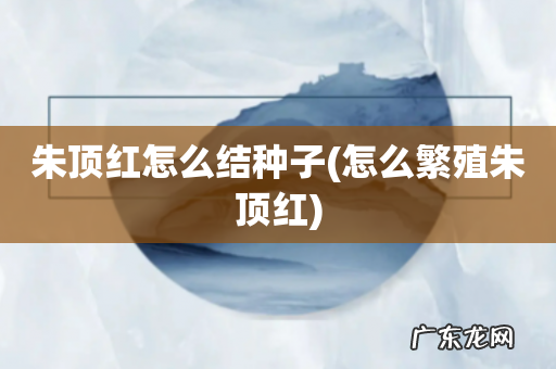 怎么繁殖朱顶红 朱顶红怎么结种子