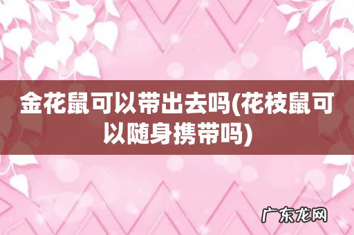 花枝鼠可以随身携带吗 金花鼠可以带出去吗