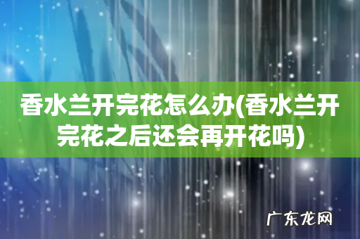 香水兰开完花之后还会再开花吗 香水兰开完花怎么办