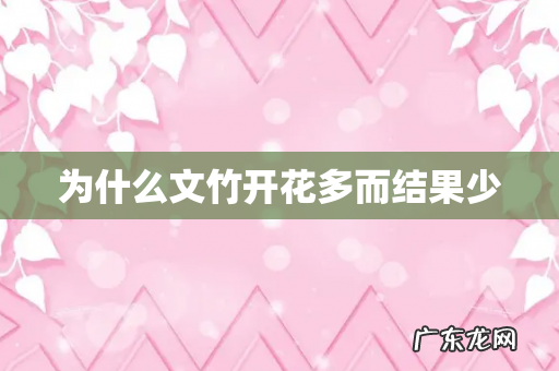 为什么文竹开花多而结果少