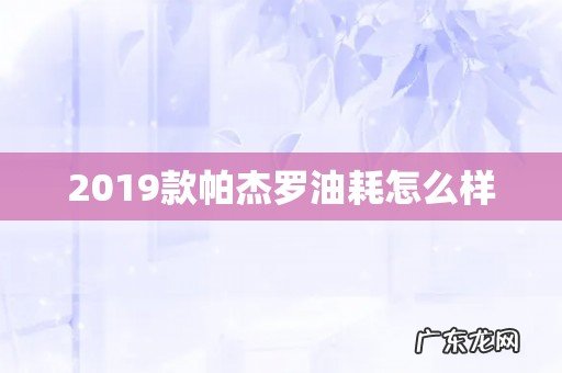 2019款帕杰罗油耗怎么样