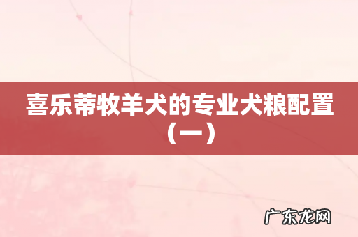 一 喜乐蒂牧羊犬的专业犬粮配置
