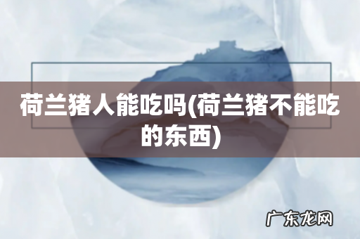 荷兰猪不能吃的东西 荷兰猪人能吃吗
