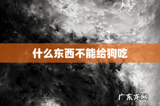 什么东西不能给狗吃