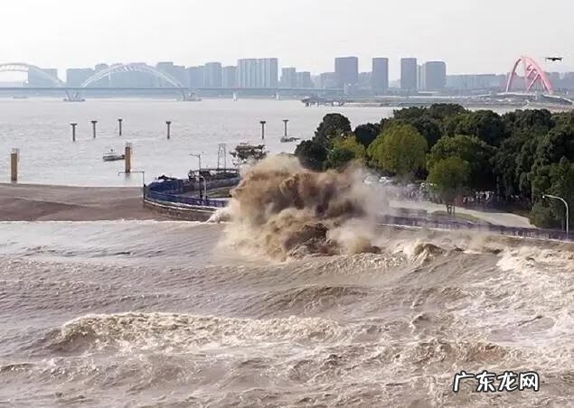 杭州萧山小女孩事件 杭州最新消息小女孩找到了吗