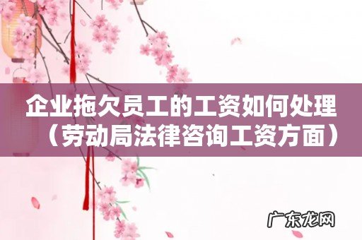 劳动局法律咨询工资方面 企业拖欠员工的工资如何处理