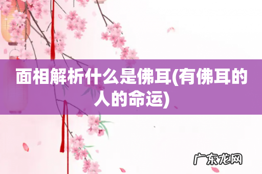 有佛耳的人的命运 面相解析什么是佛耳