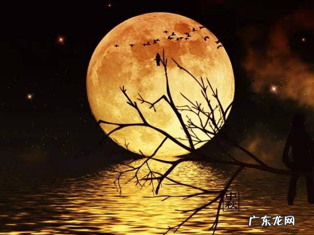 含月的诗句 关于月的诗句古诗