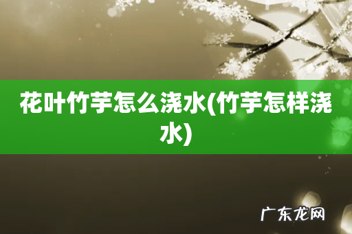 竹芋怎样浇水 花叶竹芋怎么浇水