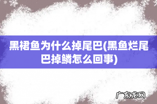 黑鱼烂尾巴掉鳞怎么回事 黑裙鱼为什么掉尾巴