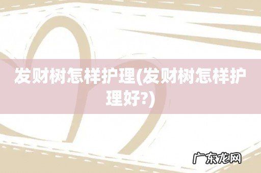 发财树怎样护理好? 发财树怎样护理