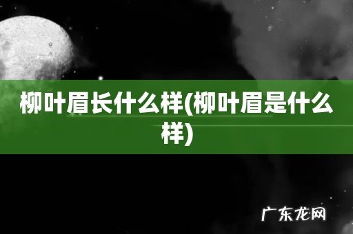 柳叶眉是什么样 柳叶眉长什么样