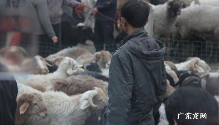 哈萨克族的古尔邦节有哪些风俗习惯?