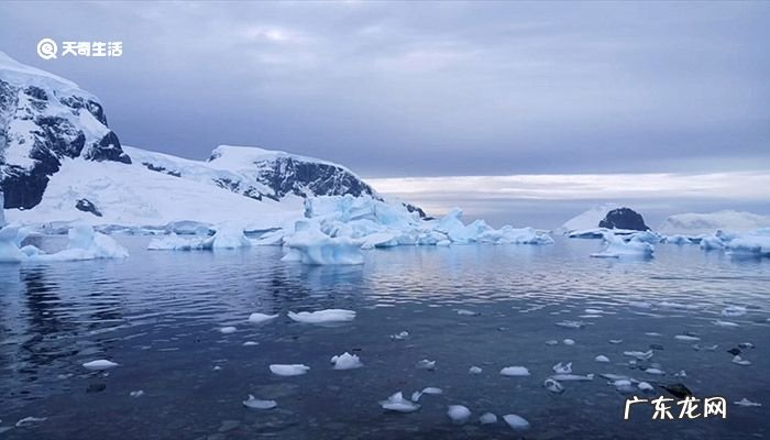 南极和北极哪个冰川多?冰山主要在南极还是北极?