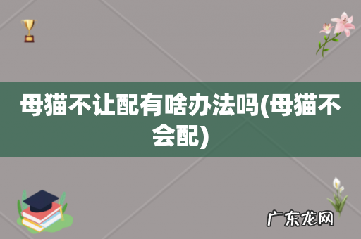 母猫不会配 母猫不让配有啥办法吗