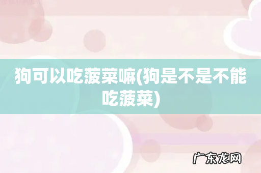 狗是不是不能吃菠菜 狗可以吃菠菜嘛