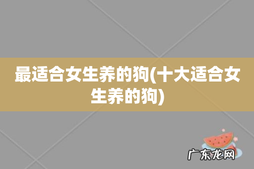 十大适合女生养的狗 最适合女生养的狗