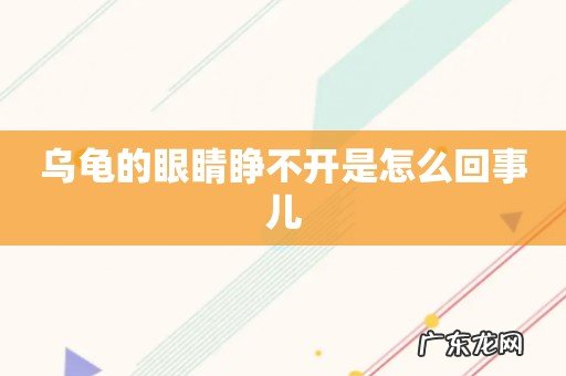 乌龟的眼睛睁不开是怎么回事儿