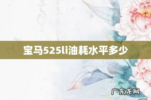 宝马525li油耗水平多少