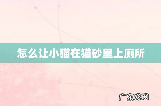 怎么让小猫在猫砂里上厕所