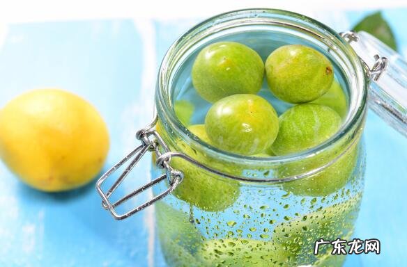 李子酒怎样长期保存?李子酒酿制的具体步骤