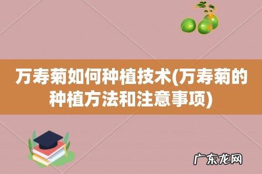 万寿菊的种植方法和注意事项 万寿菊如何种植技术