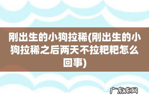 刚出生的小狗拉稀之后两天不拉粑粑怎么回事 刚出生的小狗拉稀