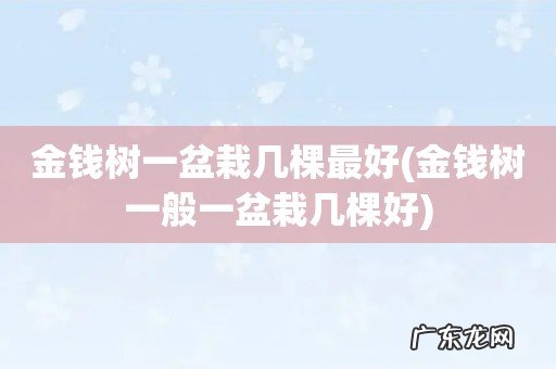 金钱树一般一盆栽几棵好 金钱树一盆栽几棵最好