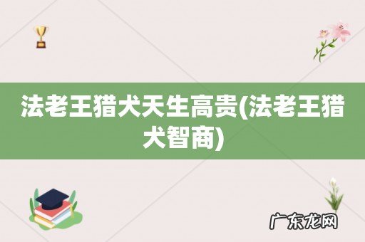 法老王猎犬智商 法老王猎犬天生高贵
