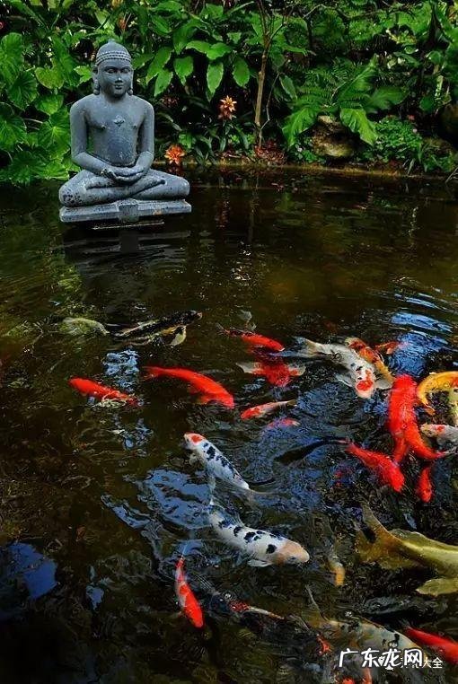 直径30CM风水球配水泵 80cm风水球需要多大的水泵