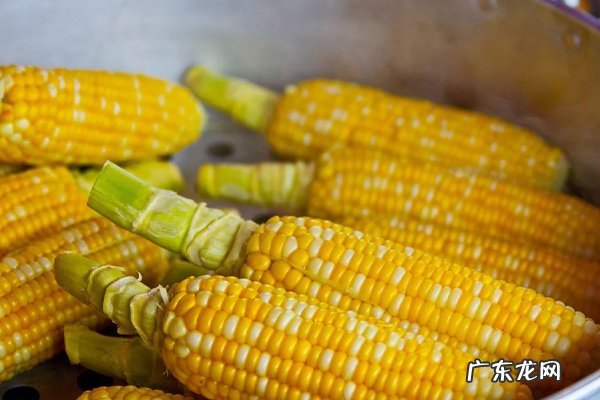 玉米需要煮多长时间?玉米有什么吃法?