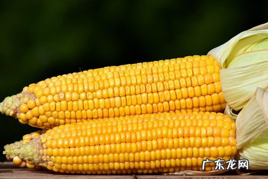 玉米需要煮多长时间?玉米有什么吃法?