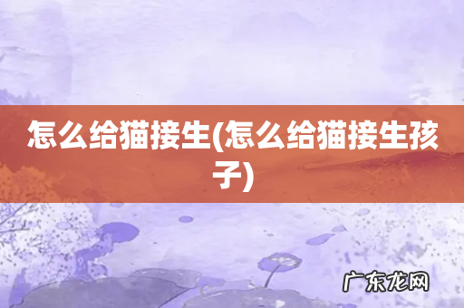 怎么给猫接生孩子 怎么给猫接生