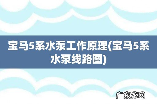 宝马5系水泵线路图 宝马5系水泵工作原理