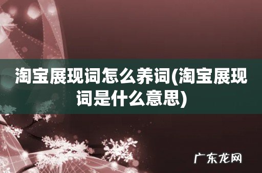 淘宝展现词是什么意思 淘宝展现词怎么养词