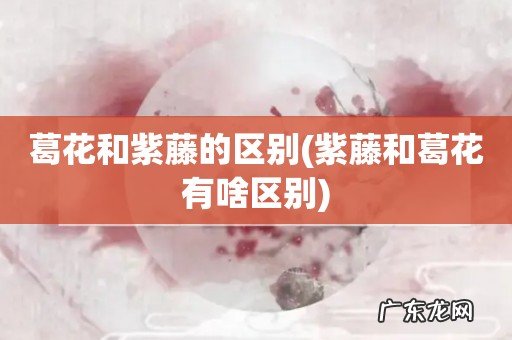 紫藤和葛花有啥区别 葛花和紫藤的区别