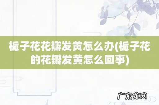 栀子花的花瓣发黄怎么回事 栀子花花瓣发黄怎么办