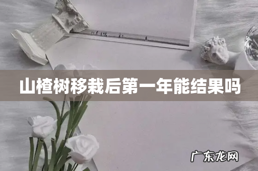 山楂树移栽后第一年能结果吗