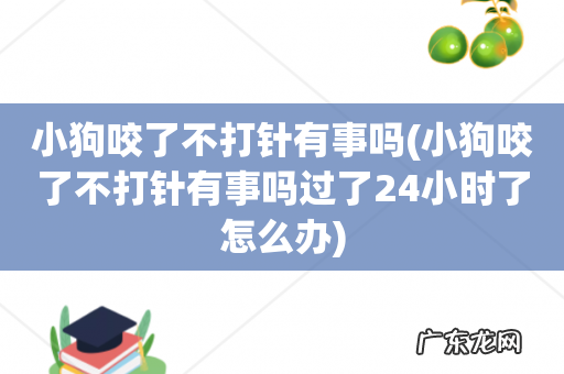 小狗咬了不打针有事吗过了24小时了怎么办 小狗咬了不打针有事吗
