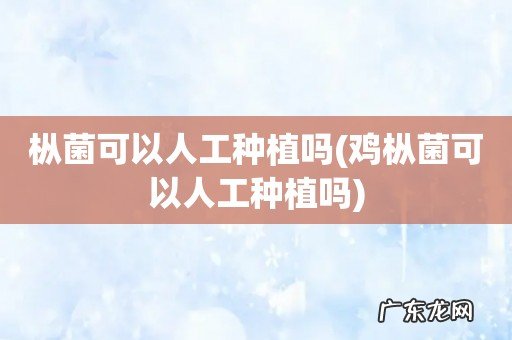 鸡枞菌可以人工种植吗 枞菌可以人工种植吗