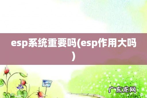 esp作用大吗 esp系统重要吗