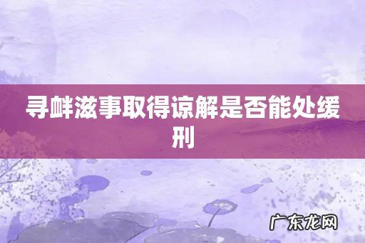 寻衅滋事取得谅解是否能处缓刑