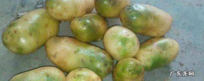 土豆发青去掉皮还能吃吗？