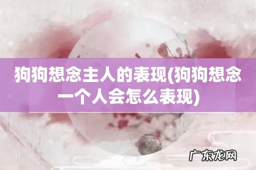 狗狗想念一个人会怎么表现 狗狗想念主人的表现