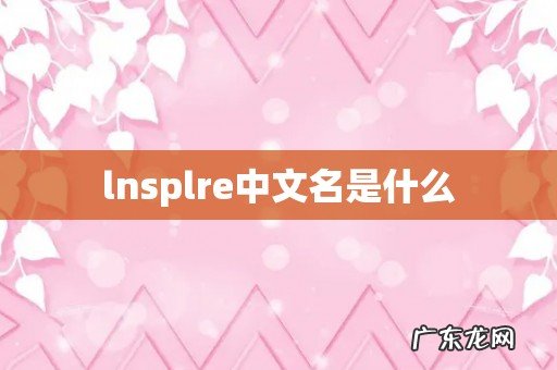 lnsplre中文名是什么