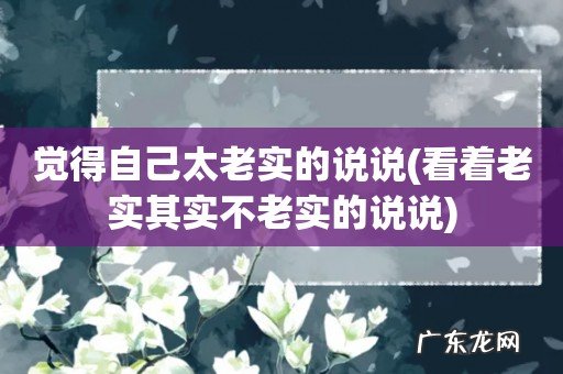 看着老实其实不老实的说说 觉得自己太老实的说说