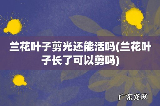 兰花叶子长了可以剪吗 兰花叶子剪光还能活吗